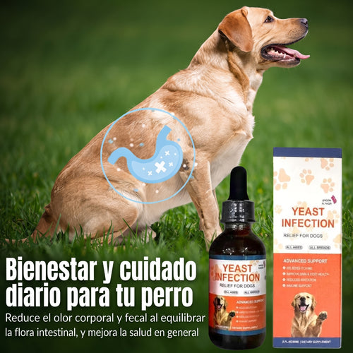 Gotas Bienestar para Perros 🐶