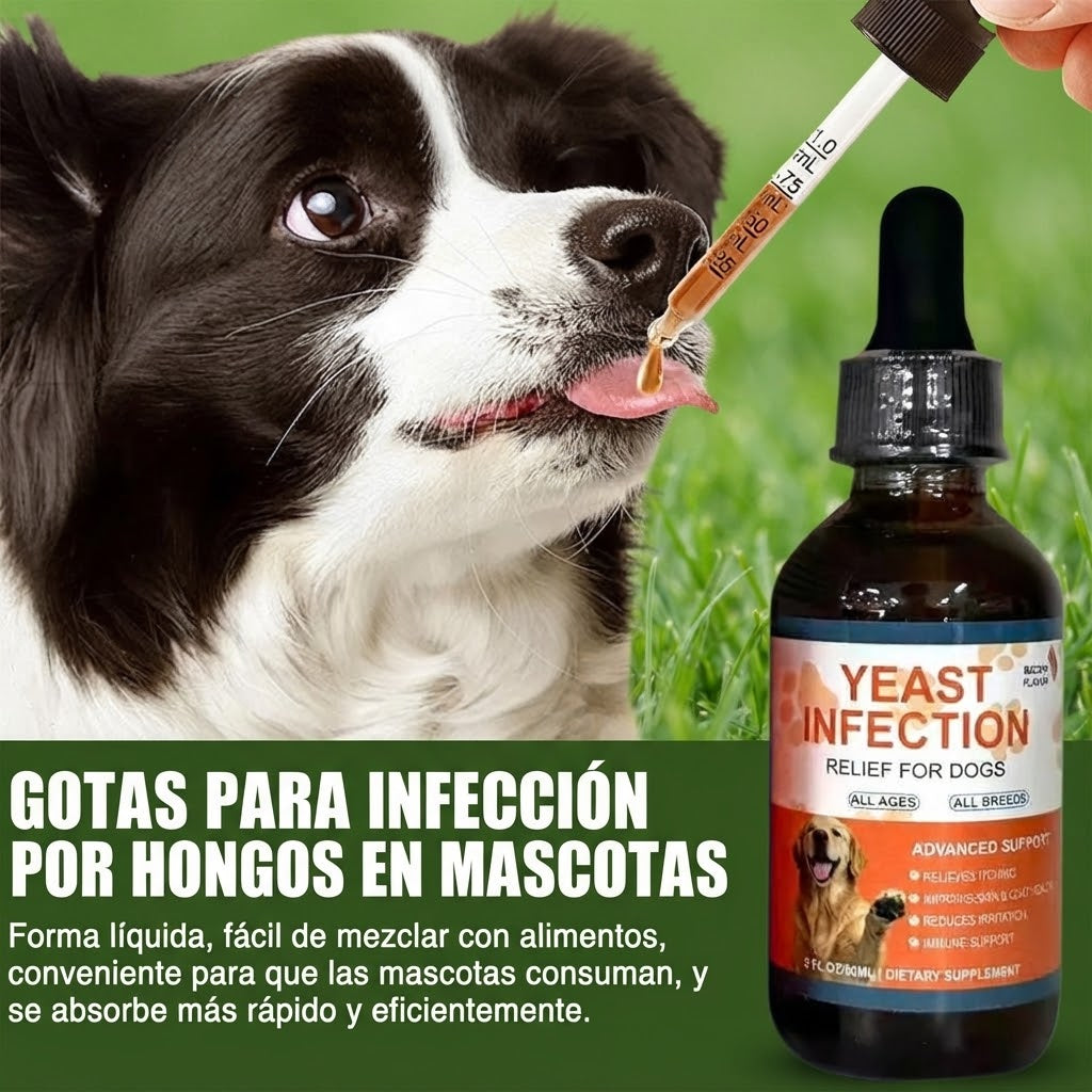 Gotas Bienestar para Perros 🐶